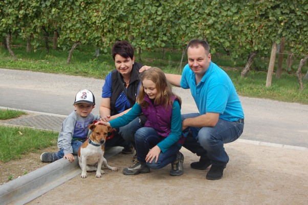 Elya-family