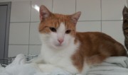Portrait Casimir Portrait Casimir