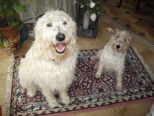 bella & filou 002