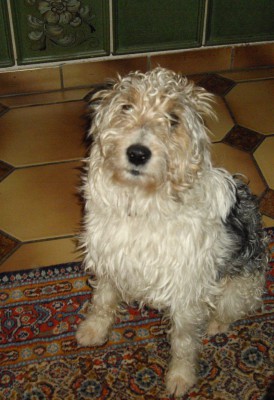 bella & filou 004