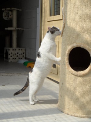 Moomine 1-2