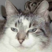 Portrait Minette