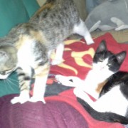 Portrait Lily und Fee Portrait Lily und Fee