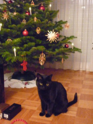 Nina update 1