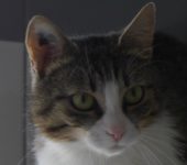 Portrait Ingy Portrait Ingy