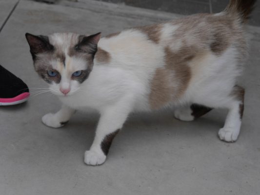 Nina 1-1 (2)