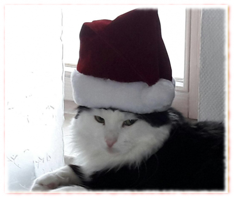 thelas-weihnachten-2016