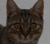 Portrait Monie Portrait Monie