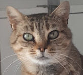 Portrait Ruse Portrait Ruse