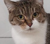 Portrait Artemis-Bouboule Portrait Artemis-Bouboule