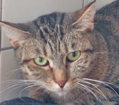 Portrait Olympe Portrait Olympe