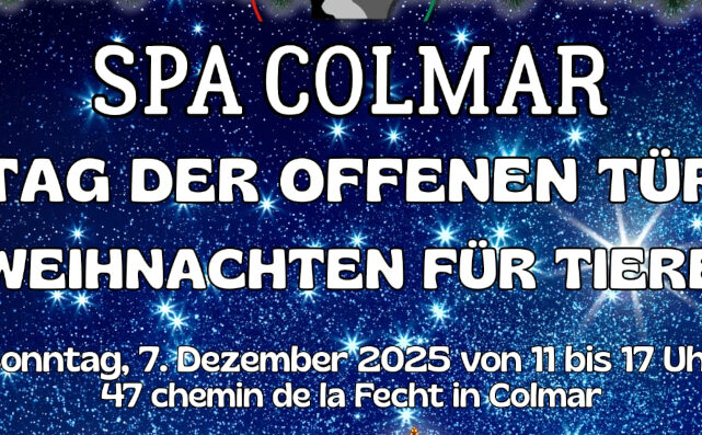 Tag-der-offenen-Tür.slider