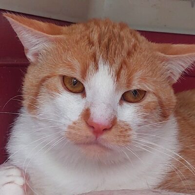 Portrait Arnaud