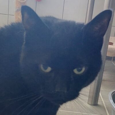 Portrait Boubouille