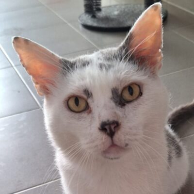 Portrait Ralph