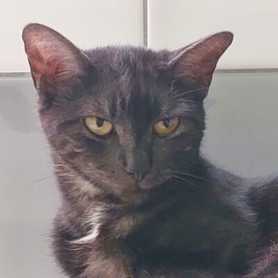 Portrait Freya