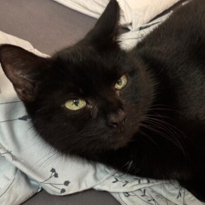 Portrait Lola