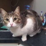 Portrait Minette