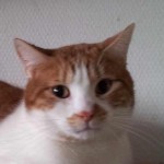 Portrait Calypso