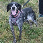 Portrait Tchouky – update